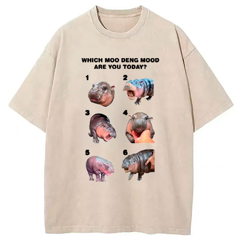 Which Moo Deng Are You Today Washed T-Shirt Cool Graphic Tee For Men Women Gifts For Him Which Moo Deng Are You Today Washed T-Shirt Cool Graphic Tee For Men Women Gifts For Him