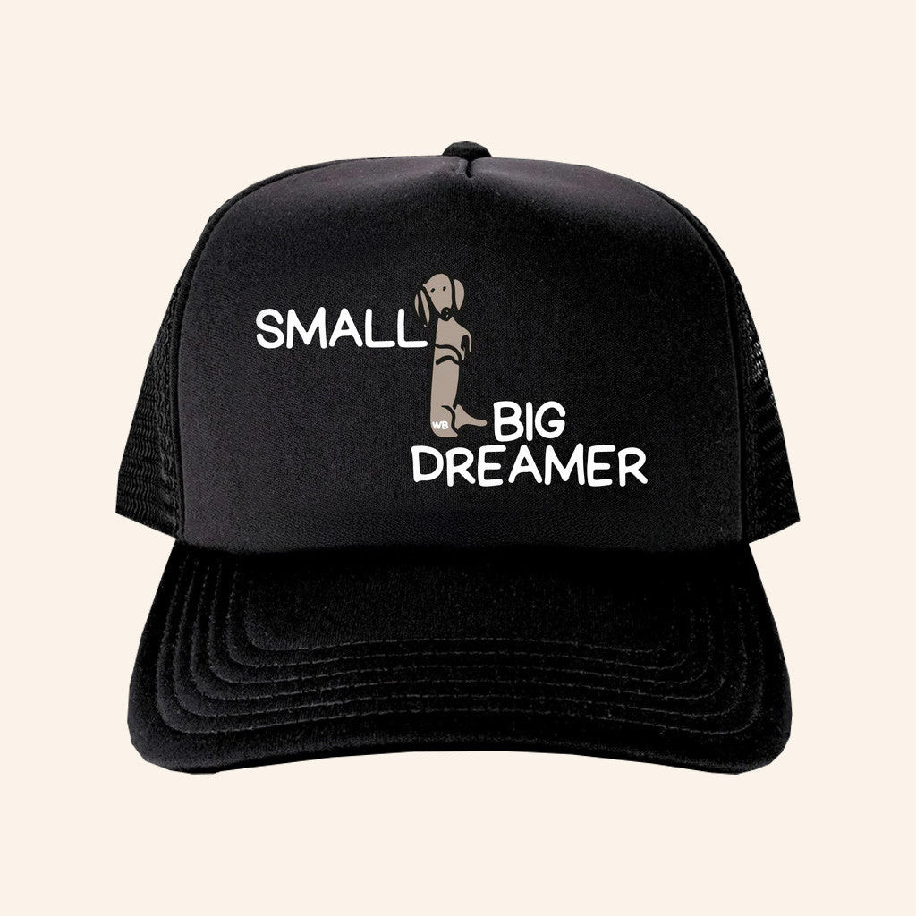 Whiskey Biz Merch Small Big Dreamer Trucker Hat Gifts For Dad