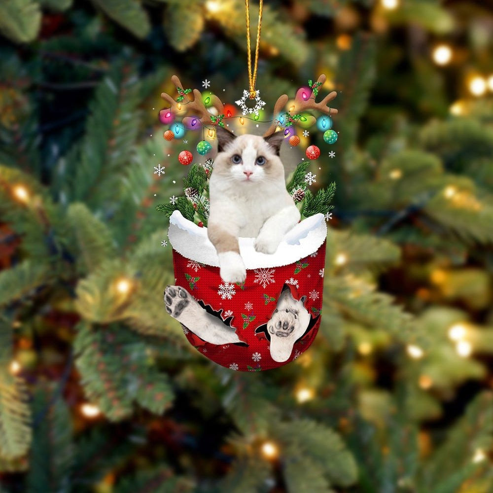 White Ragdoll Cat In Snow Pocket Christmas Ornament Flat Acrylic Cat Ornaments