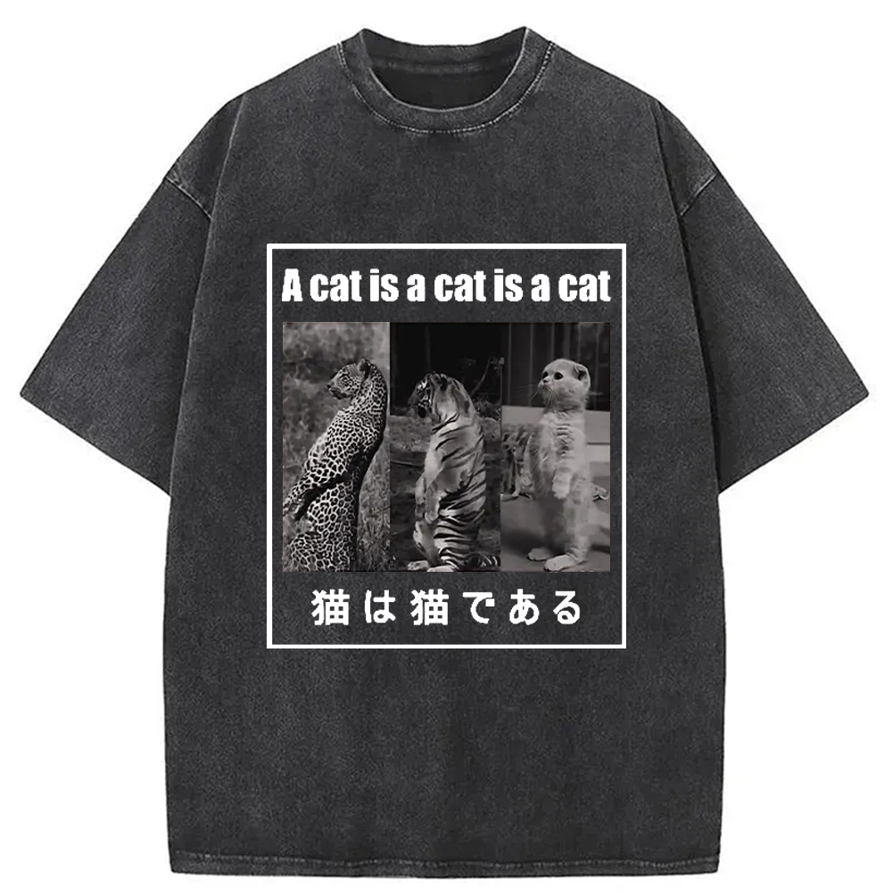 Who Is The Real Cat Washed T-Shirt Trendy Everyday Casual Outfit Gifts For Him Who Is The Real Cat Washed T-Shirt Trendy Everyday Casual Outfit Gifts For Him