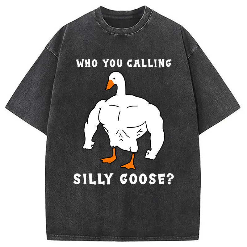 Who You Calling Silly Goose Funny Gym Meme Washed T-Shirt Trendy Everyday Casual Outfit Gifts For Her