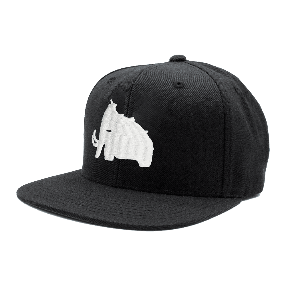 Wooli Merch Wooli Snapback Hat Father's Day Gifts For Husband