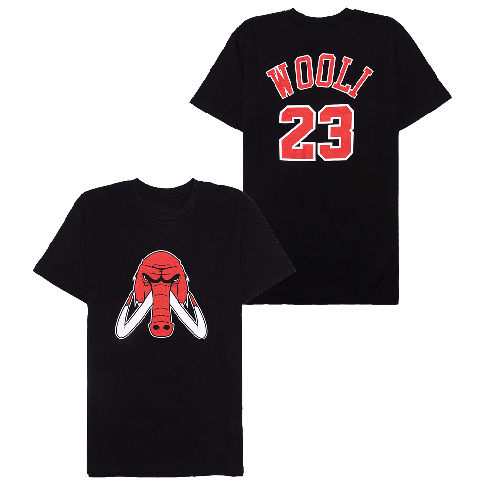 Wooli Merch Wooli T-Shirt Father In Law Gifts Dad's Day