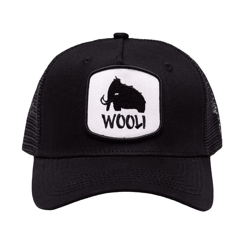 Wooli Merch Wooli Trucker Hat Father In Law Gifts Dad's Day