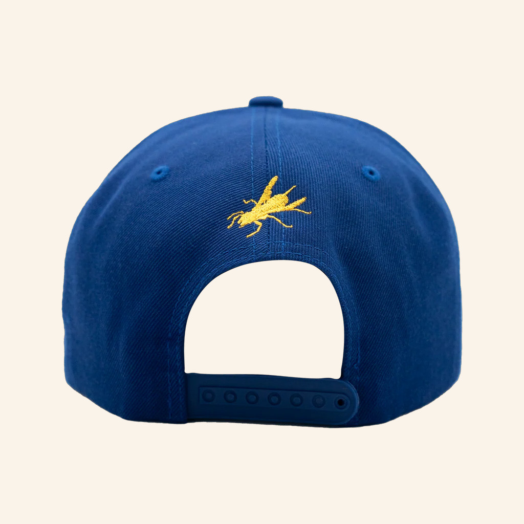 Wu Tang Merch Nuthin To F Wit Snapback Hat Embroidered Wu Tang Hat Gifts For Father