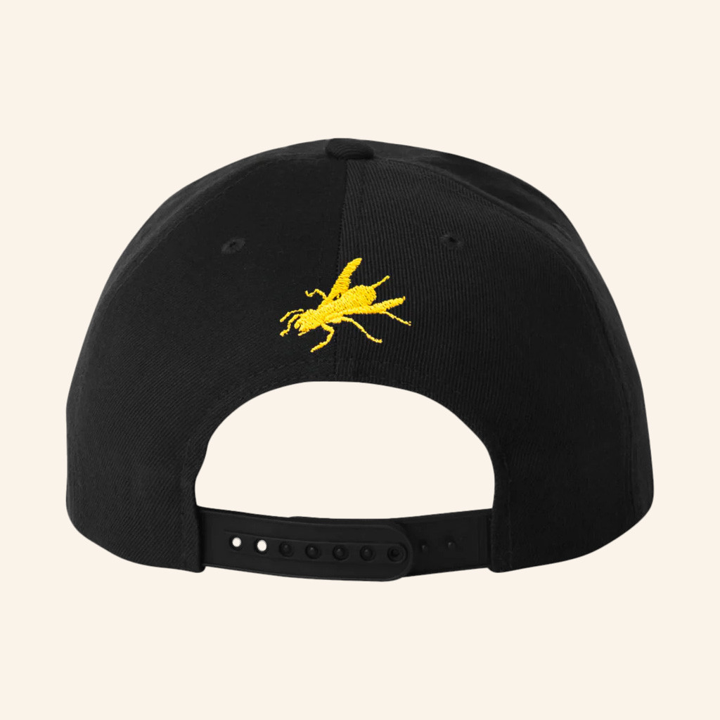 Wu Tang Merch Nuthin To F Wit Snapback Hat Embroidered Wu Tang Hat Hip Hop Fans Gifts