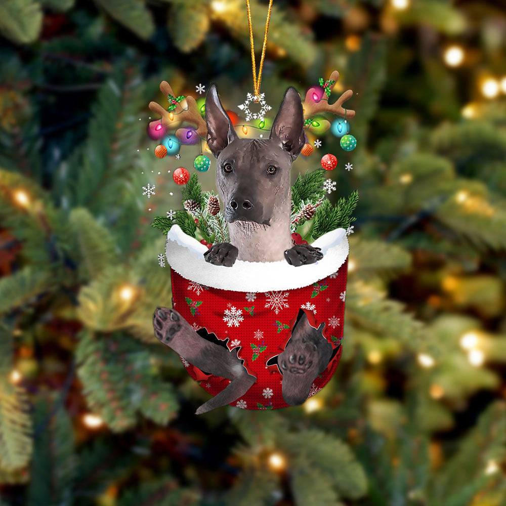 Xoloitzcuintli In Snow Pocket Christmas Dog Flat Acrylic Ornament Cute Gift For Dogs Lovers
