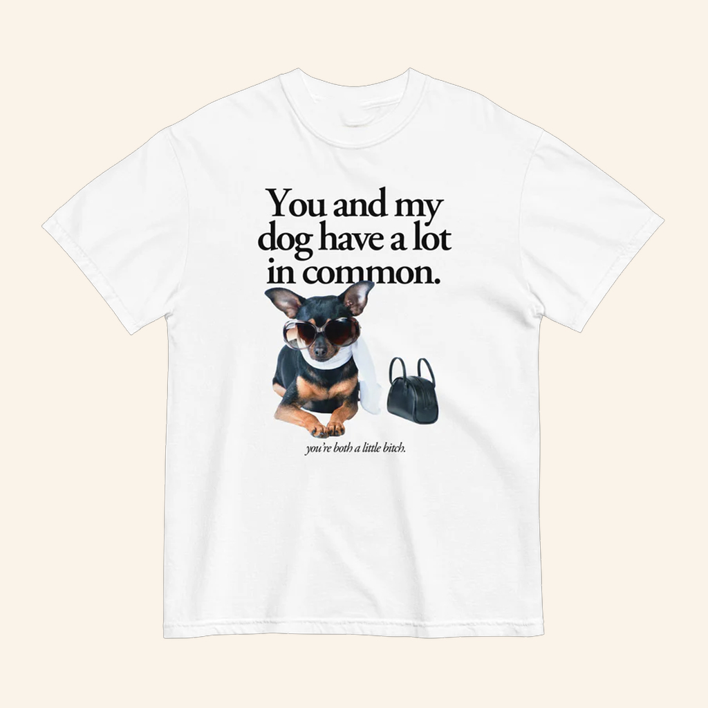 You And My Dog Have A Lot In Common T-Shirt You're A Little Btch Shirt Gifts For Friends