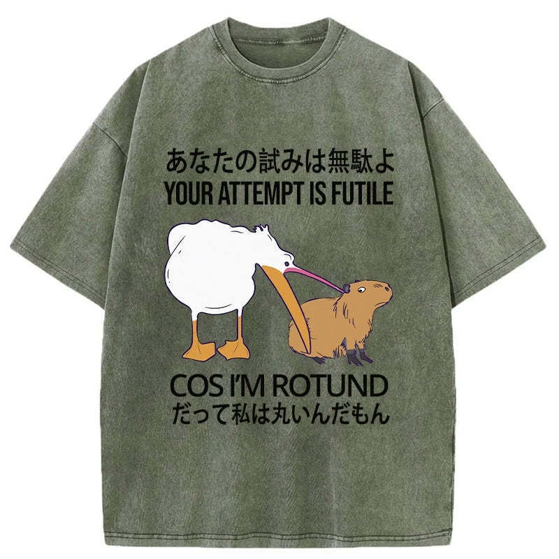 Your Attempts Are In Vain Washed T-Shirt Soft Comfortable Daily T Shirt Gifts For Him