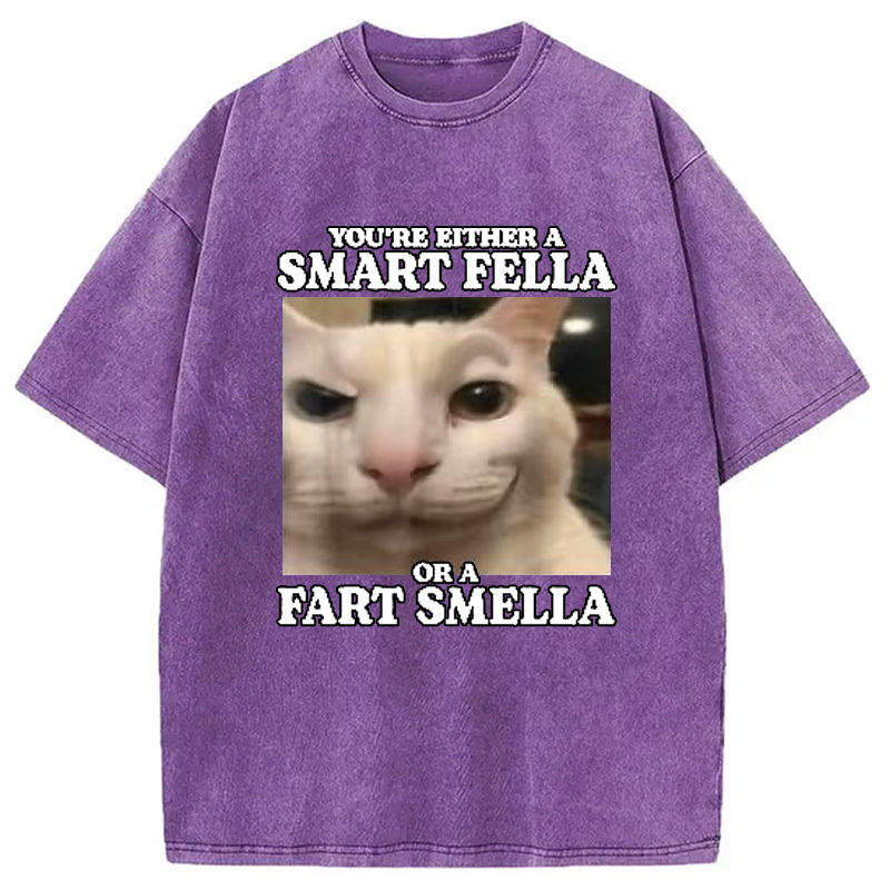 You're Either a Smart Fella Washed T-Shirt Soft Cotton Daily Wear Tee Gifts For Best Friend