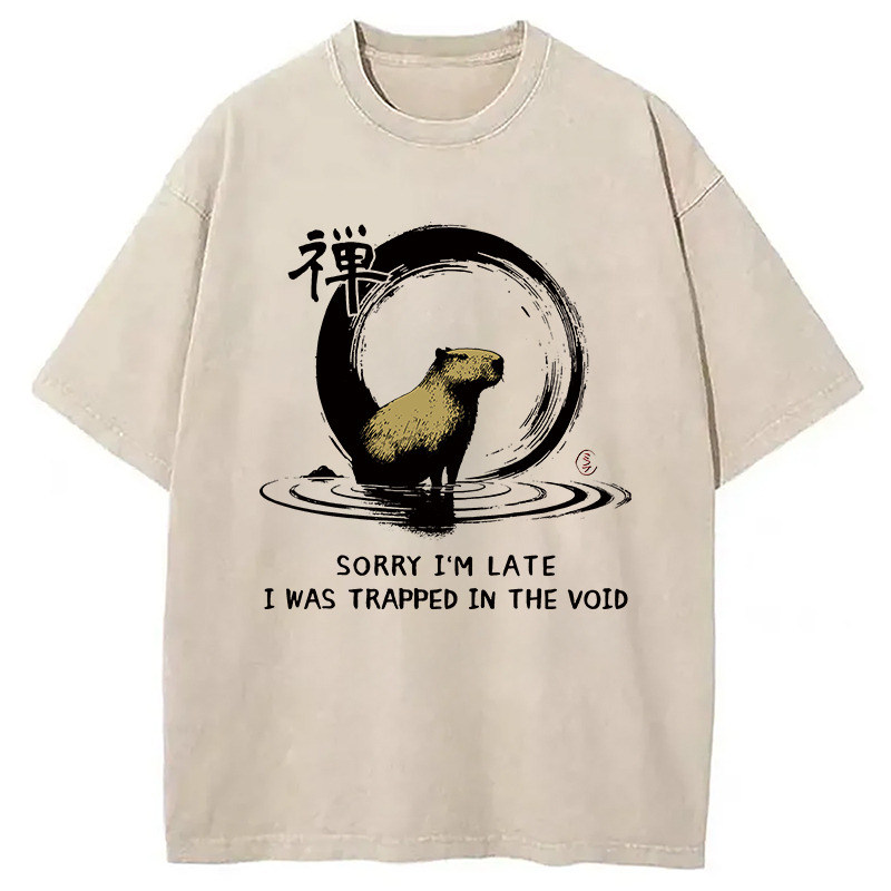 Zen Capybara Was Trapped In The Void Washed T-Shirt Unisex Streetwear Graphic Style Gifts For Sister